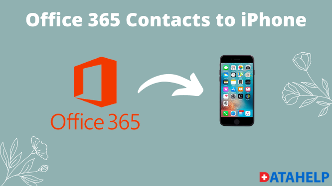 Контакты Office 365 на iPhone: как легко импортировать