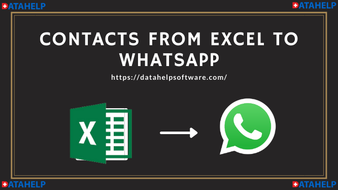 Как выгрузить контакты из whatsapp в excel